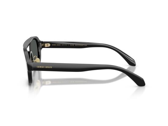26FW 조르지오 아르마니 선글라스 0AR8247 BLACK - GIORGIO ARMANI