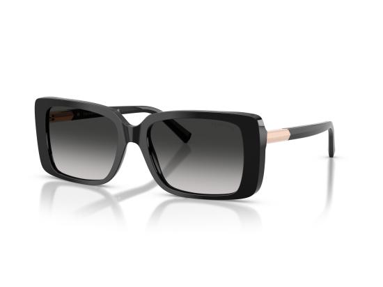 26FW 티파니앤코 선글라스 0TF4249 BLACK - TIFFANY & CO