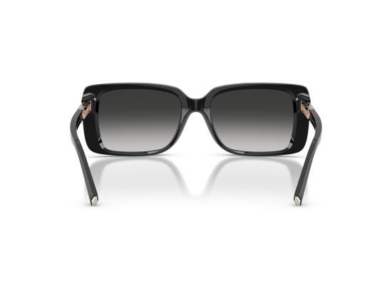26FW 티파니앤코 선글라스 0TF4249 BLACK - TIFFANY & CO