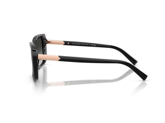 26FW 티파니앤코 선글라스 0TF4249 BLACK - TIFFANY & CO