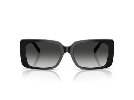 26FW 티파니앤코 선글라스 0TF4249 BLACK - TIFFANY & CO
