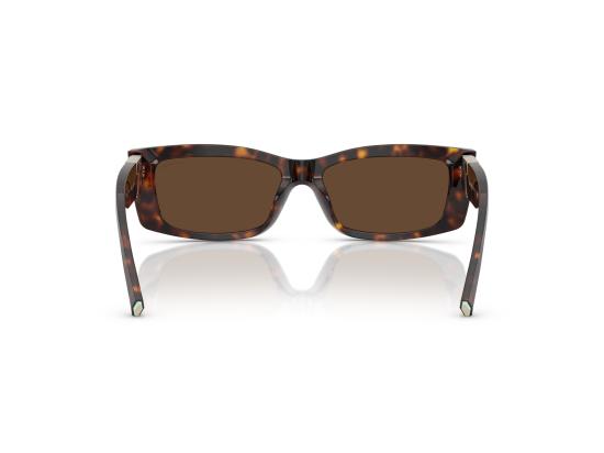 26FW 티파니앤코 선글라스 0TF4240U BROWN - TIFFANY & CO