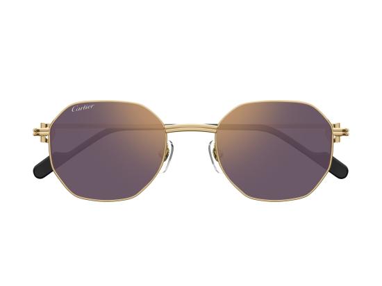 26FW 까르띠에 선글라스 CT0500S GOLD - CARTIER