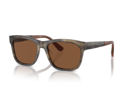 26FW 브루넬로 쿠치넬리 선글라스 0BC4003S BROWN - BRUNELLO CUCINELLI