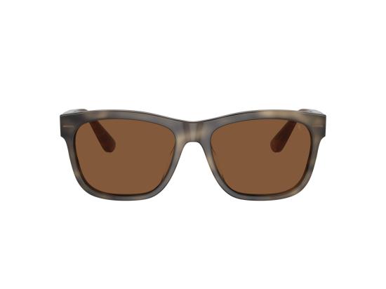 26FW 브루넬로 쿠치넬리 선글라스 0BC4003S BROWN - BRUNELLO CUCINELLI