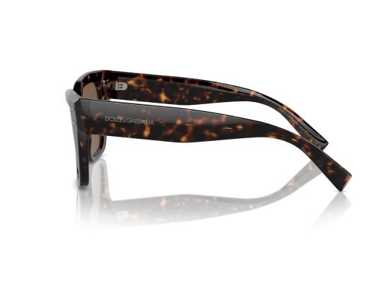 26SS 돌체앤가바나 선글라스 0DG4471 BROWN - DOLCE & GABBANA