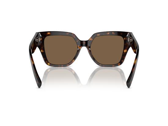 26SS 돌체앤가바나 선글라스 0DG4471 BROWN - DOLCE & GABBANA