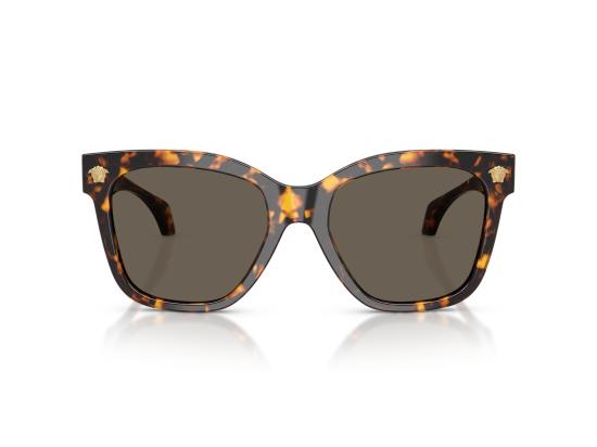 26FW 베르사체 선글라스 0VE4511 BROWN - VERSACE