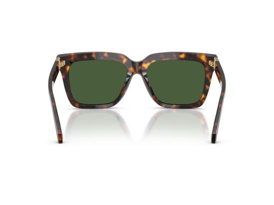 26FW 베르사체 선글라스 0VE4498 BROWN - VERSACE