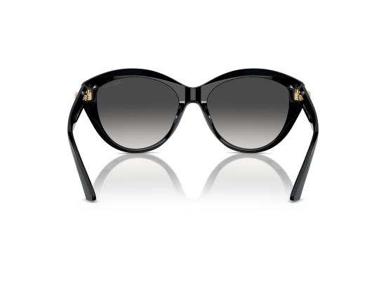 26FW 지미추 선글라스 0JC5007 BLACK - JIMMY CHOO