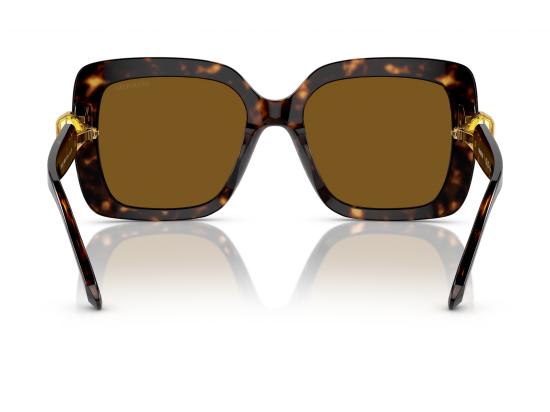 26FW 스와로브스키 선글라스 0SK6001 BROWN - SWAROVSKI