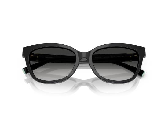 26FW 티파니앤코 선글라스 0TF4237B BLACK - TIFFANY & CO