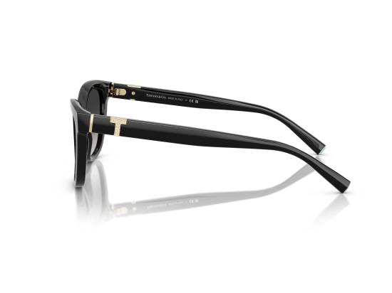 26FW 티파니앤코 선글라스 0TF4237B BLACK - TIFFANY & CO