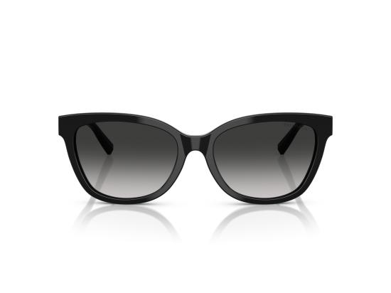 26FW 티파니앤코 선글라스 0TF4237B BLACK - TIFFANY & CO