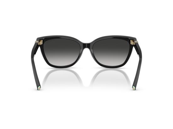26FW 티파니앤코 선글라스 0TF4237B BLACK - TIFFANY & CO