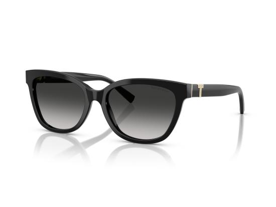 26FW 티파니앤코 선글라스 0TF4237B BLACK - TIFFANY & CO