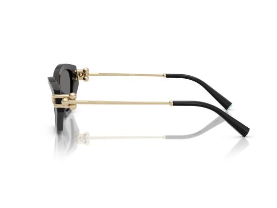 26FW 티파니앤코 선글라스 0TF4231U BLACK - TIFFANY & CO