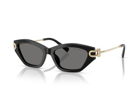 26FW 티파니앤코 선글라스 0TF4231U BLACK - TIFFANY & CO