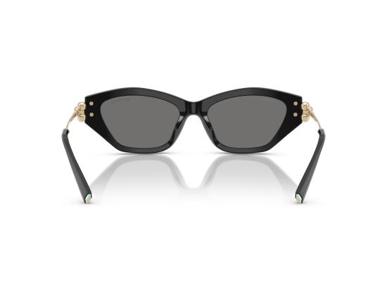26FW 티파니앤코 선글라스 0TF4231U BLACK - TIFFANY & CO