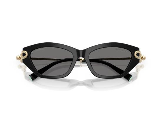 26FW 티파니앤코 선글라스 0TF4231U BLACK - TIFFANY & CO