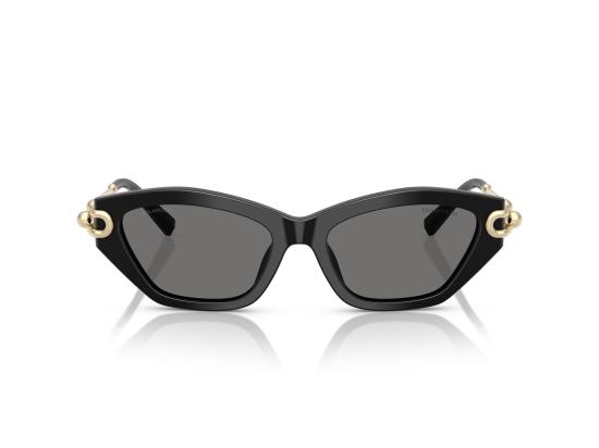 26FW 티파니앤코 선글라스 0TF4231U BLACK - TIFFANY & CO