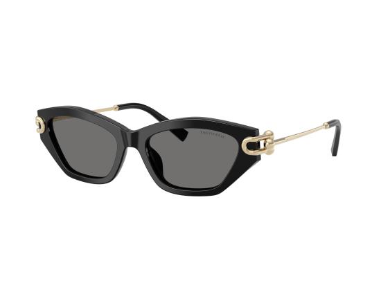 26FW 티파니앤코 선글라스 0TF4231U BLACK