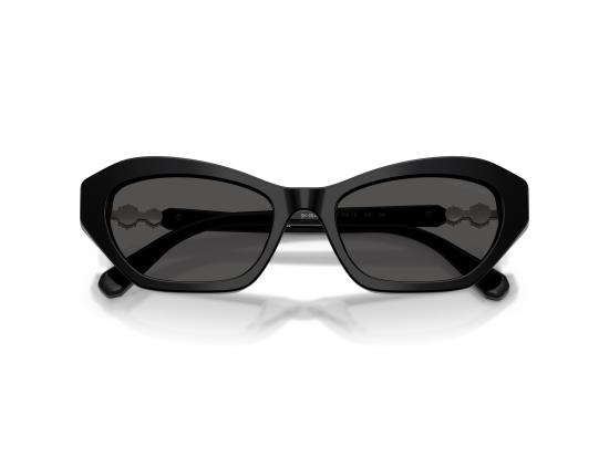 26FW 스와로브스키 선글라스 0SK6048 BLACK - SWAROVSKI
