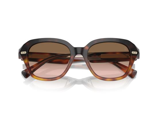 26FW 브루넬로 쿠치넬리 선글라스 0BC4004S BROWN - BRUNELLO CUCINELLI