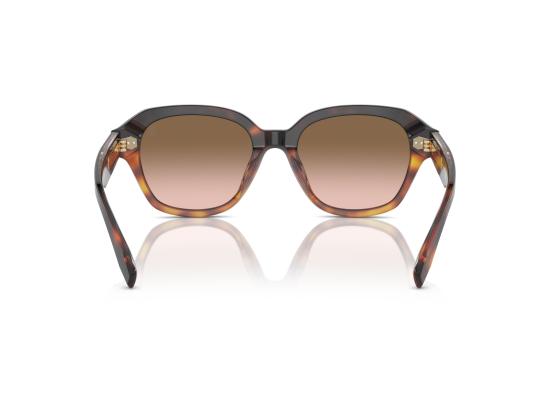 26FW 브루넬로 쿠치넬리 선글라스 0BC4004S BROWN - BRUNELLO CUCINELLI