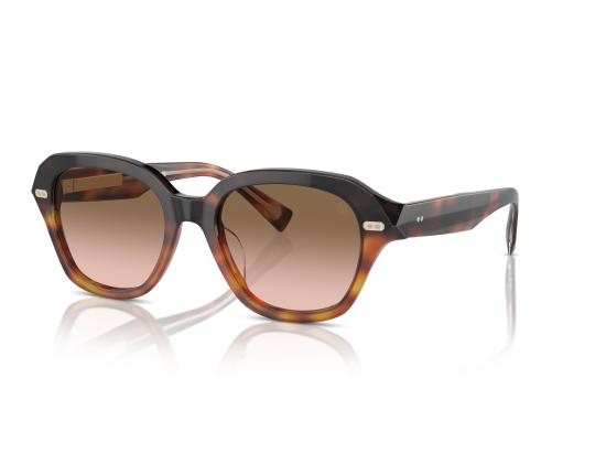 26FW 브루넬로 쿠치넬리 선글라스 0BC4004S BROWN - BRUNELLO CUCINELLI