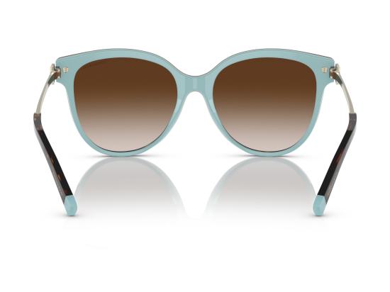 26FW 티파니앤코 선글라스 0TF4193B BROWN - TIFFANY & CO
