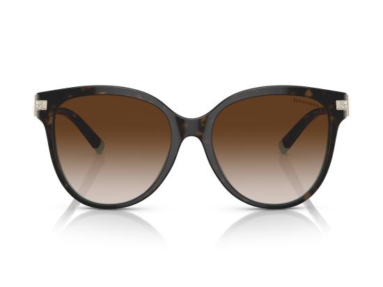 26FW 티파니앤코 선글라스 0TF4193B BROWN - TIFFANY & CO