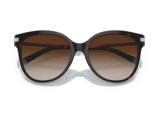 26FW 티파니앤코 선글라스 0TF4193B BROWN - TIFFANY & CO