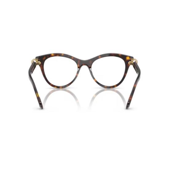 26FW 스와로브스키 안경 0SK2036 BROWN - SWAROVSKI