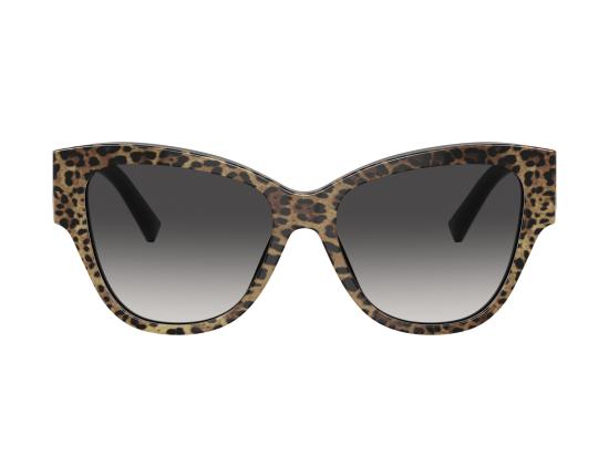 26FW 돌체앤가바나 선글라스 0DG4449 BROWN - DOLCE & GABBANA