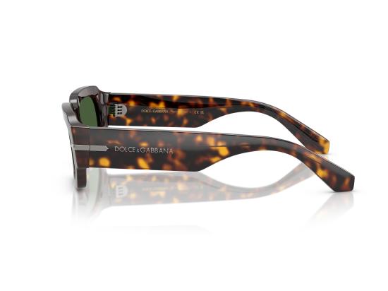 26SS 돌체앤가바나 선글라스 0DG4485 BROWN - DOLCE & GABBANA