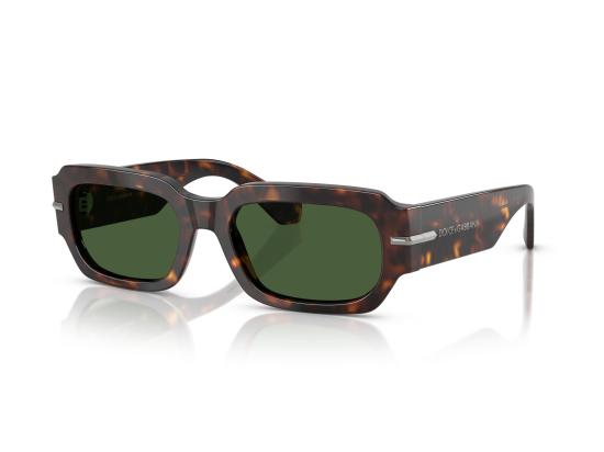 26SS 돌체앤가바나 선글라스 0DG4485 BROWN - DOLCE & GABBANA