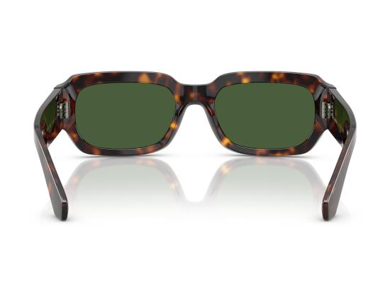 26SS 돌체앤가바나 선글라스 0DG4485 BROWN - DOLCE & GABBANA
