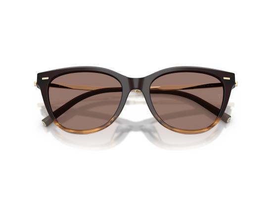 26FW 올리버피플스 선글라스 0OV5597SU BROWN - OLIVER PEOPLES