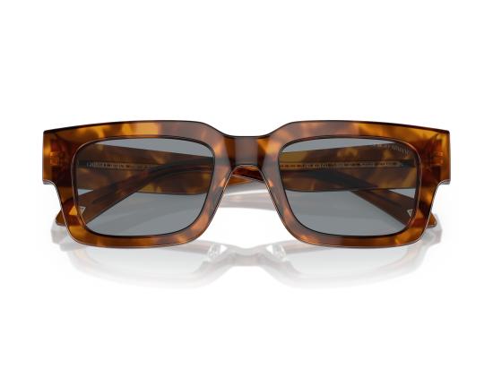 26FW 조르지오 아르마니 선글라스 0AR8184U BROWN - GIORGIO ARMANI