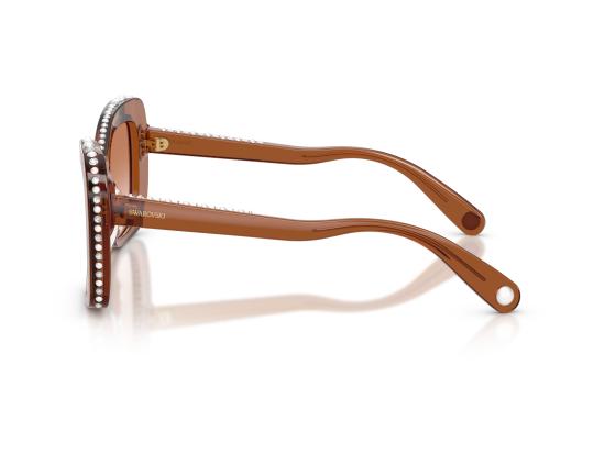 26FW 스와로브스키 선글라스 0SK6062U BROWN - SWAROVSKI