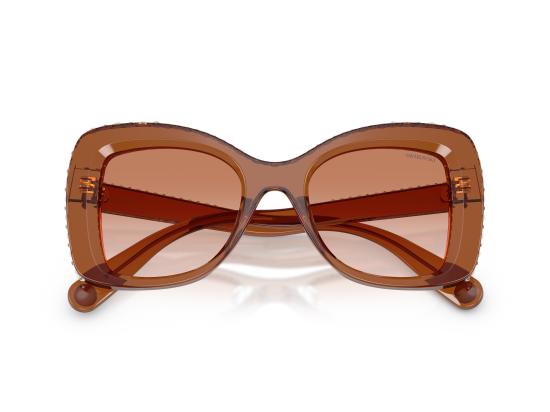 26FW 스와로브스키 선글라스 0SK6062U BROWN - SWAROVSKI