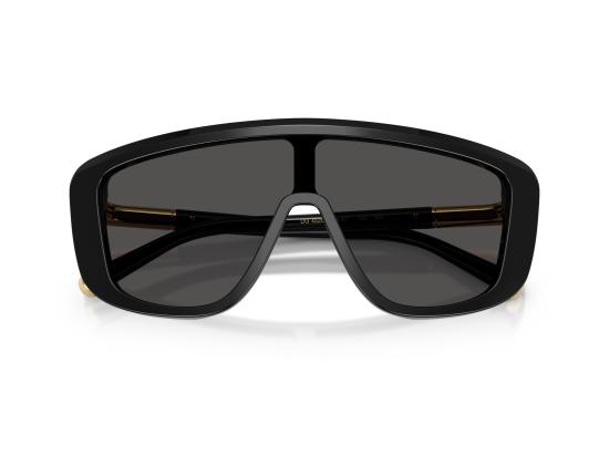 26FW 돌체앤가바나 선글라스 0DG4520 BLACK - DOLCE & GABBANA