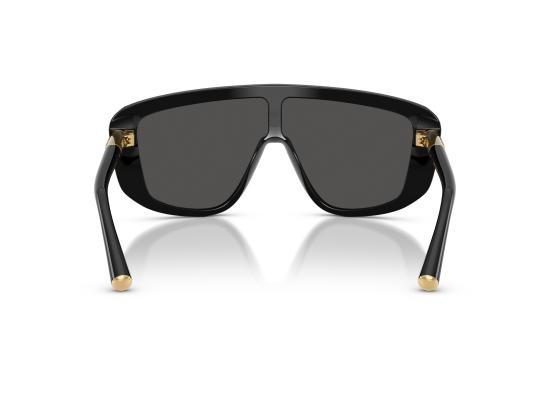 26FW 돌체앤가바나 선글라스 0DG4520 BLACK - DOLCE & GABBANA