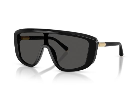 26FW 돌체앤가바나 선글라스 0DG4520 BLACK - DOLCE & GABBANA