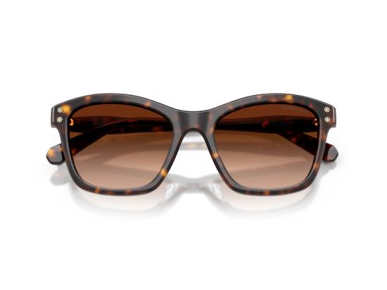 26FW 스와로브스키 선글라스 0SK6063 BROWN - SWAROVSKI