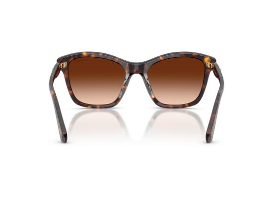 26FW 스와로브스키 선글라스 0SK6063 BROWN - SWAROVSKI