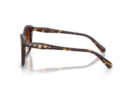 26FW 스와로브스키 선글라스 0SK6063 BROWN - SWAROVSKI