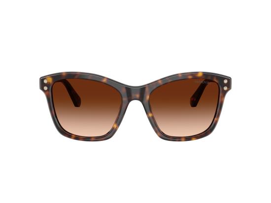 26FW 스와로브스키 선글라스 0SK6063 BROWN - SWAROVSKI