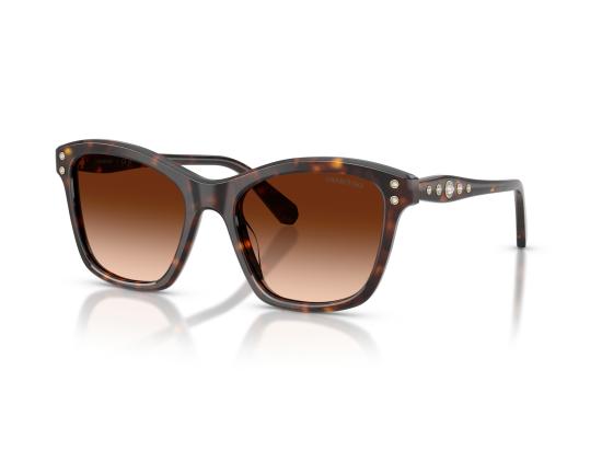 26FW 스와로브스키 선글라스 0SK6063 BROWN - SWAROVSKI